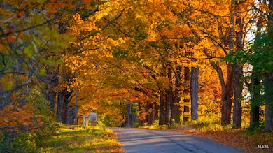 760 Mountain Rd, Parsonsfield, ME 04047 - photo 3