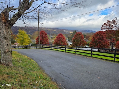 720 N Mohawk Dr, Erwin, TN 37650 - photo 6