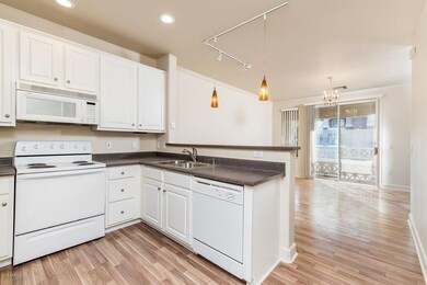 Open Concept Kitchen and Living Room