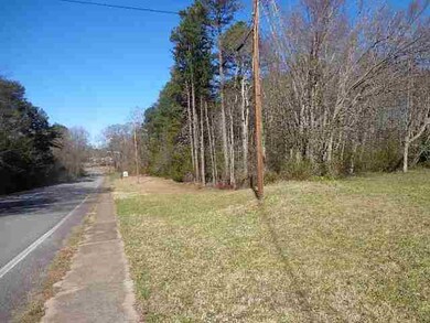 00 Crenshaw St unit & Greenville Street, Pendleton, SC 29670 - photo 2