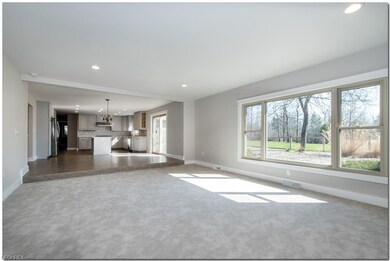 kitchen/lvng