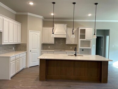 2016 Liberty Ct, Weatherford, TX 76088 - photo 3