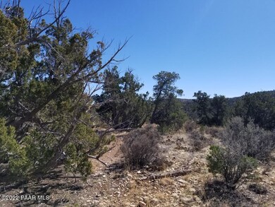 0 Un Named Rd unit 1045970, Ash Fork, AZ 86320 - photo 4