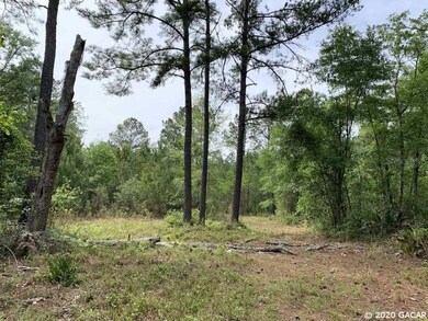 0 SE Family Rd, Lulu, FL 32061 - photo 5