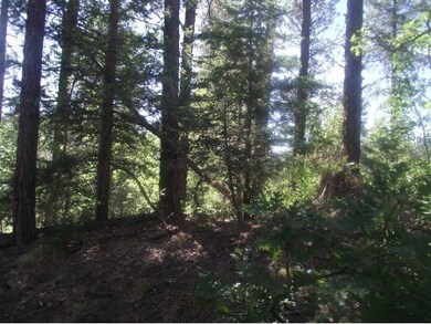 Building Pad Surrounded By Tall Pines