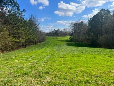 View of grassy yard featuring a view of rural / pa