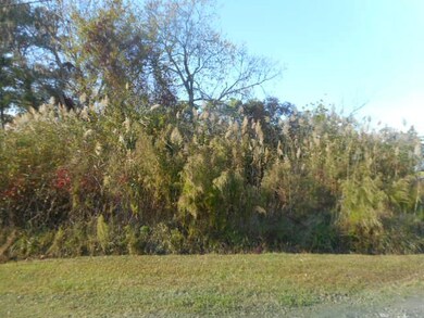 Corner Lot
