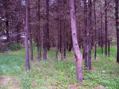 Wooded