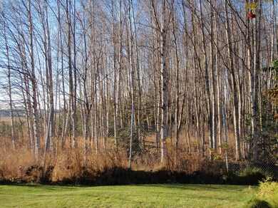 Trees behind the home