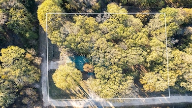 269 Lake Shadows Cir, Gun Barrel City, TX 75156 - photo 2