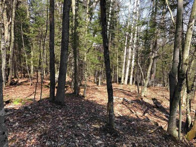 5 Branch Hill Rd unit 5, Readsboro, VT 05350 - photo 5