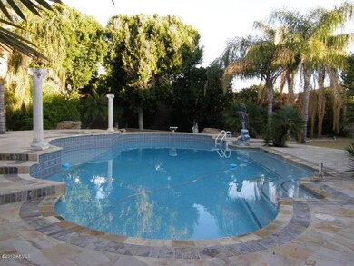Backyard Pool