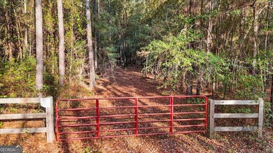 0 Massey Rd unit 10654939, Tennille, GA 31089 - photo 4