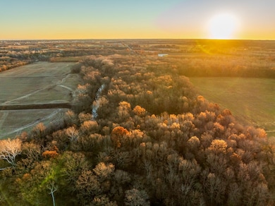 000 NW County Road 2501, Butler, MO 64730 - photo 6