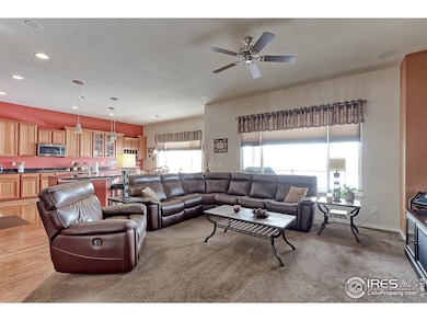 4580 E 136th Place, Thornton, CO 80602 - photo 6