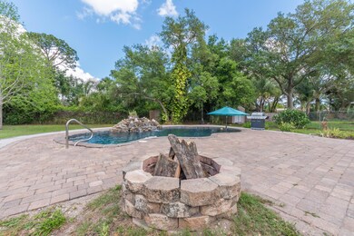 Back Yard 3