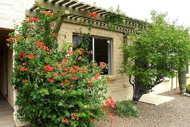 Bouganvilla graces front of house