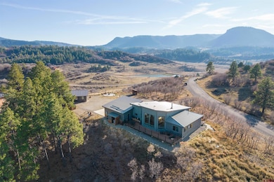 701 Henry's Lake Dr, Pagosa Springs, CO 81147 - photo 7