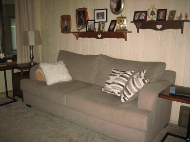 Living room featuring carpet floors