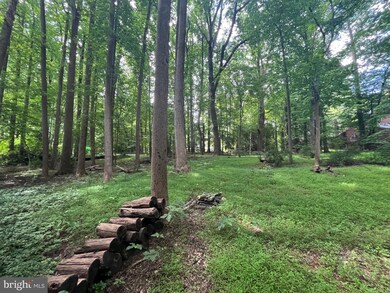 11016 Fawsett Rd, Potomac, MD 20854 - photo 7