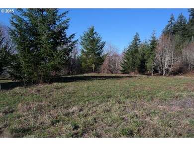 6600 SE Sartore Rd, Amity, OR 97101 - photo 7