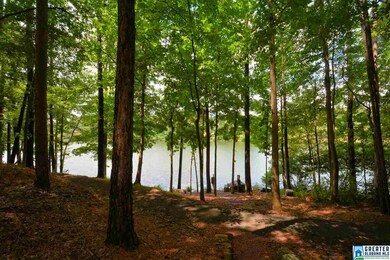 Largest lake of 8 in Highland Lakes