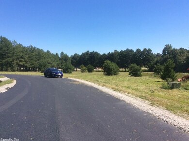 Lot 4 Cr 7612, Brookland, AR 72417 - photo 2