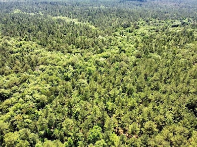 0 State Highway 59 unit 7239248, Bay Minette, AL 36507 - photo 6