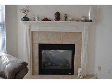 Living Room. Gas Fireplace in Living Room