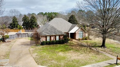 dji_fly_20250203_112530_103_173860354241