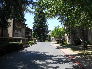 STREET VIEW WEWST