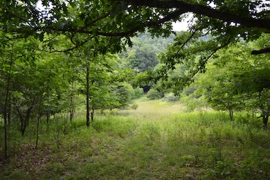 6299 Edray Rd, Cass, WV 24927 - photo 3