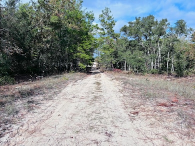 View to the north