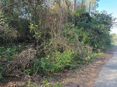 TBD Hickory, Splendora, TX 77372 - photo 4