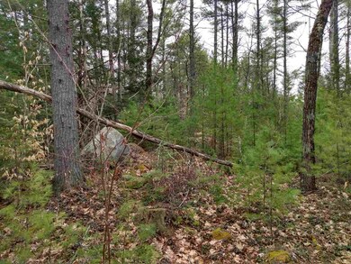 0 Off Rails To Trails Trail unit 12 4801015, Fitzwilliam, NH 03447 - photo 4