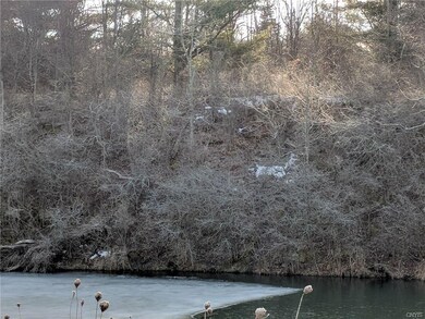 Back Side of lot has a view of a Beaver Pond Sprin