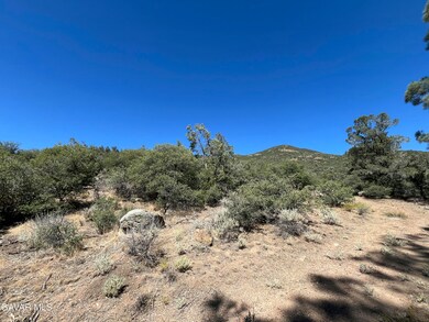 Martin land photo 3