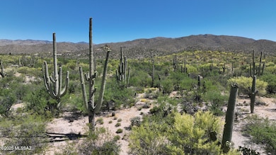 13585 E Placita Nido Del Aguila unit 1, Tanque Verde, AZ 85749 - photo 5
