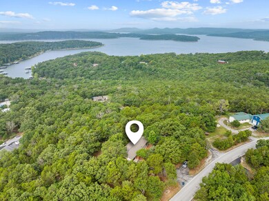 214 / 196 Hoot Owl Point, Kimberling City, MO 65686 - photo 6