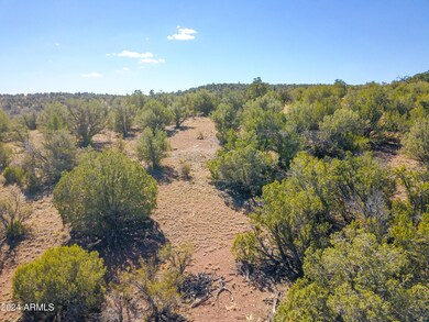 Drone View 4