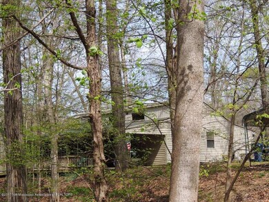 Lots of trees shade the home