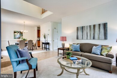 117 Egypt Farms Rd, Owings Mills, MD 21117 - photo 3