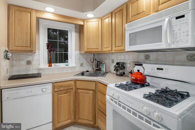 21 Rose Ln, Cherry Hill, NJ 08002 - photo 5