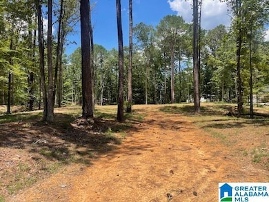 63 Hodgens Rd unit 3, Chelsea, AL 35043 - photo 2