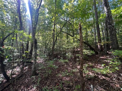 Tract 1-B C H 66, Tamassee, SC 29686 - photo 7