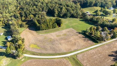 1810 Berryville Rd, Jonesboro, IL 62952 - photo 3