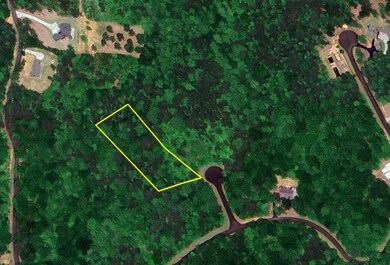 140 Autumn Fern Ln, Ellijay, GA 30536 - photo 6