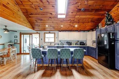 Entertainer's kitchen