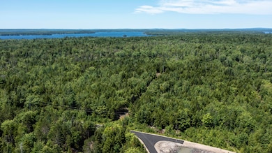 Lot 25 Lucas Ln, Whiting, ME 04691 - photo 5