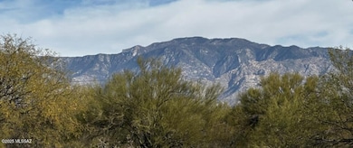 Screenshot 2025-07-29 at 3.49.24PM